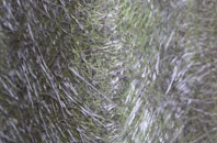 North Blyth fibreglass roof work